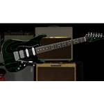 Tom Anderson G210302 The Classic, Black with Green Dog Hair Finish