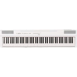 MUSIC ARTS ENTERPRISES - Yamaha P125WH 88-key Digital Piano